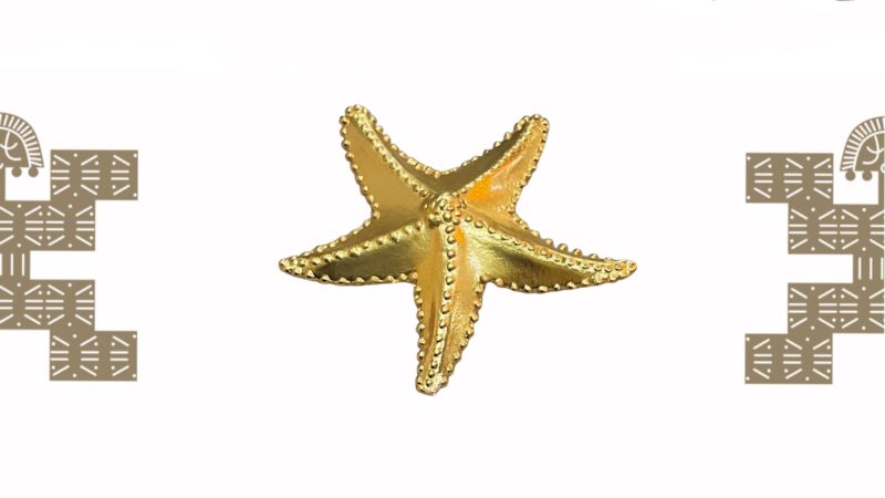 Anillo artesanal estrella de mar